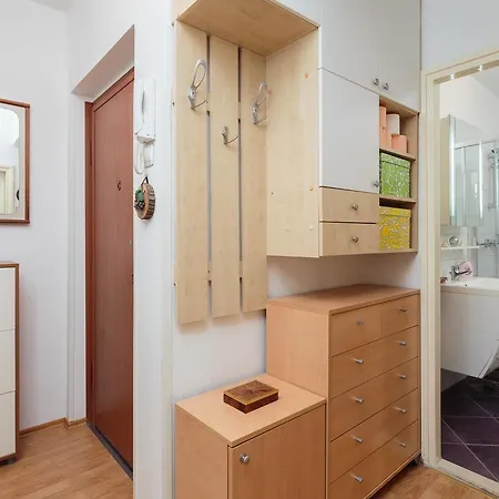 Comfortable And Fully Furbished Karolina In The Center Split